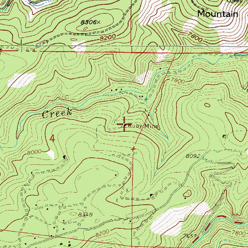 Topographic Map of Ruby Mine, CO