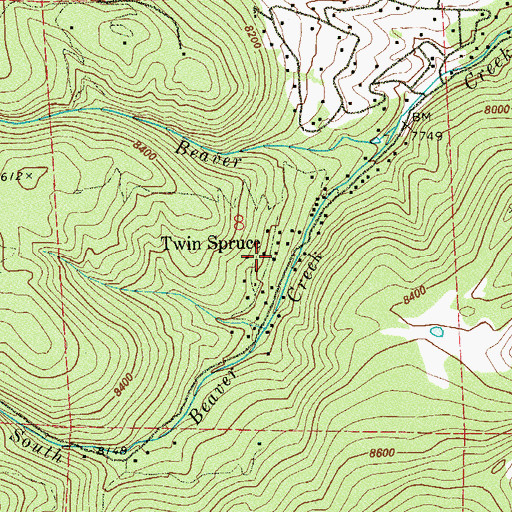 Topographic Map of Twin Spruce, CO