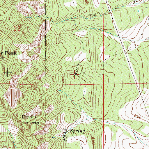 Topographic Map of Mesa Trail, CO