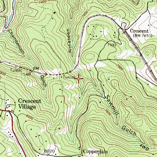 Topographic Map of Sawmill Gulch, CO