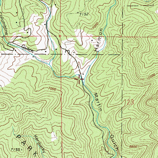 Topographic Map of Woods Gulch, CO