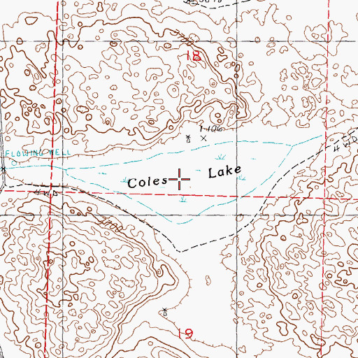 Topographic Map of Coles Lake, NE