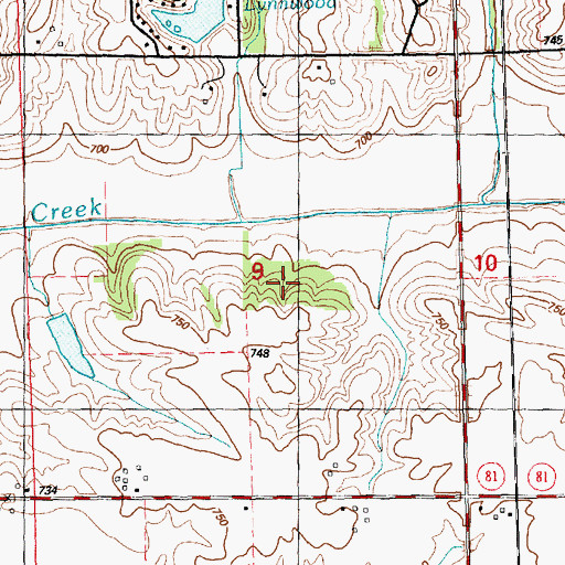 Topographic Map of Lynn Grove, IL