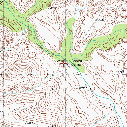 Topographic Map of Bonita Camp, AZ