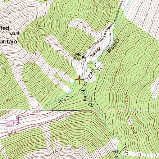 Topographic Map of Ruby Creek, CO