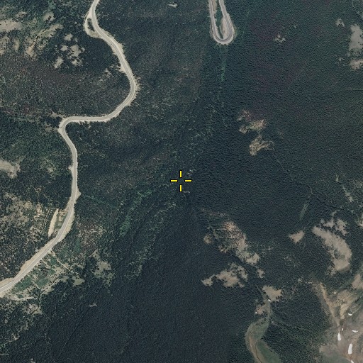 Aerial/Satellite Image of Robert Creek, CO