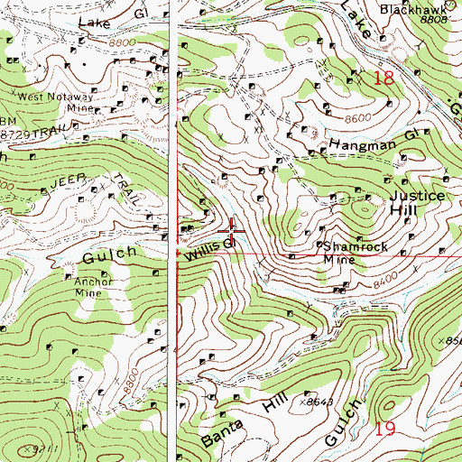 Topographic Map of Willis Gulch, CO