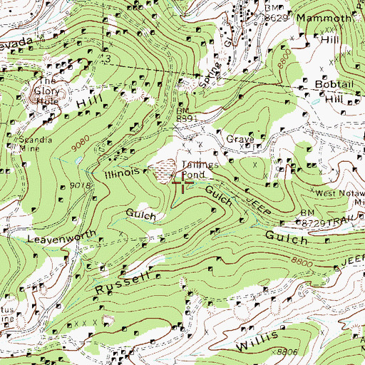 Topographic Map of Leavenworth Gulch, CO