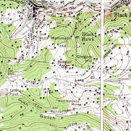 Topographic Map of Bobtail Hill, CO