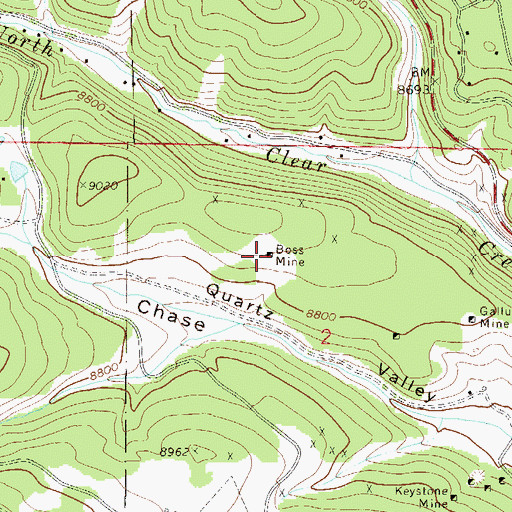 Topographic Map of Boss Mine, CO