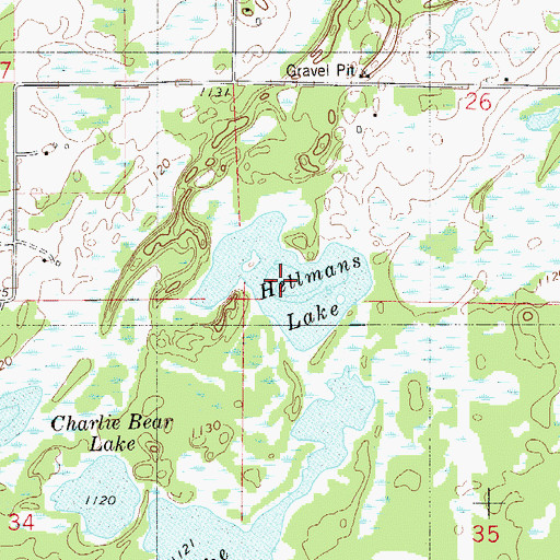 Topographic Map of Hellmans Lake, MN