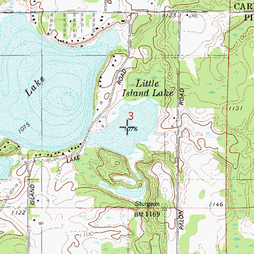 Topographic Map of Little Island Lake, MN