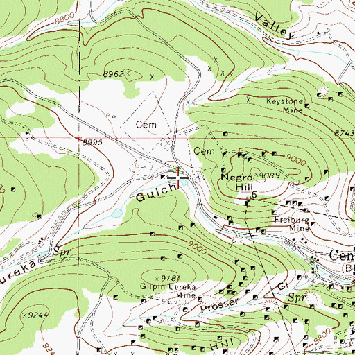Topographic Map of Eureka Gulch, CO