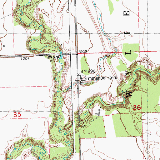Topographic Map of Immanuel Lutheran Cemetery, MN