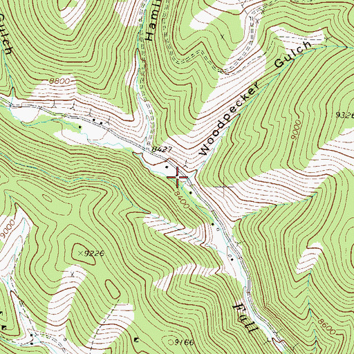 Topographic Map of Woodpecker Gulch, CO