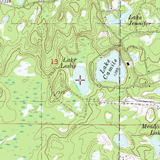 Topographic Map of Lake Leslie, MN
