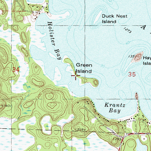 Topographic Map of Green Island, MN