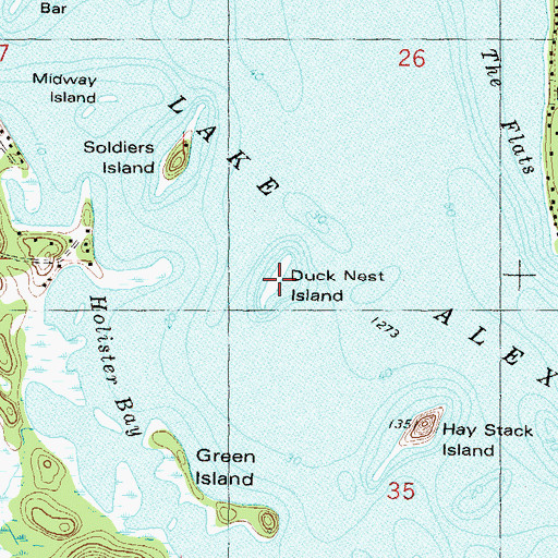 Topographic Map of Duck Nest Island, MN