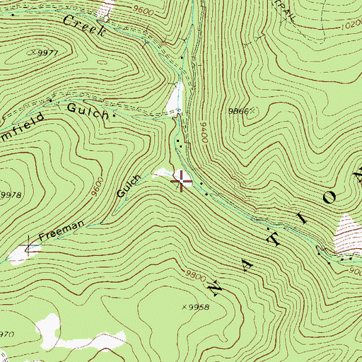 Topographic Map of Freeman Gulch, CO