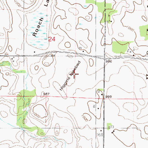 Topographic Map of Higgins Lakebed, MN