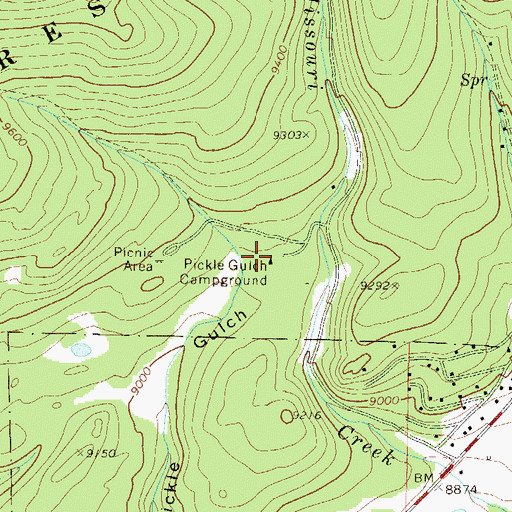 Topographic Map of Pickle Gulch Campground, CO