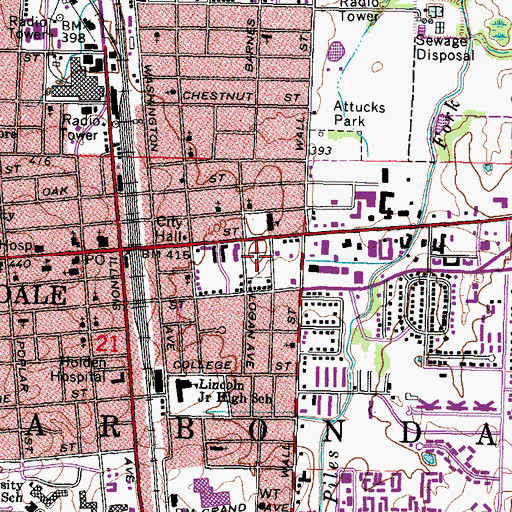 Topographic Map of Woodlawn Cemetery, IL