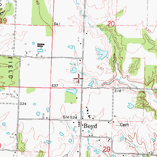 Topographic Map of Boyd Farm Cemetery, IL