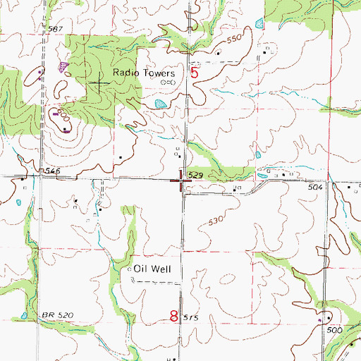 Topographic Map of Lynchburg (historical), IL