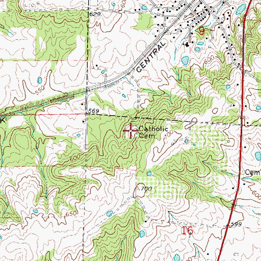 Topographic Map of Catholic Cemetery, IL