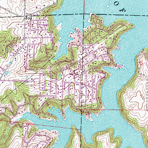 Topographic Map of Eagle Point Bay, IL