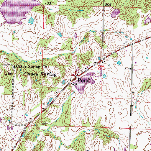 Topographic Map of Pond, IL