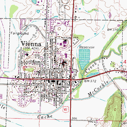 Topographic Map of Vienna Elementary School, IL