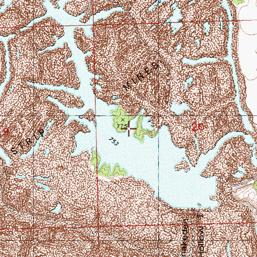 Topographic Map of Snakeden Hollow Lake, IL