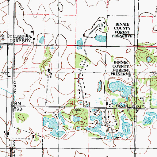 Topographic Map of Binnie Hills, IL