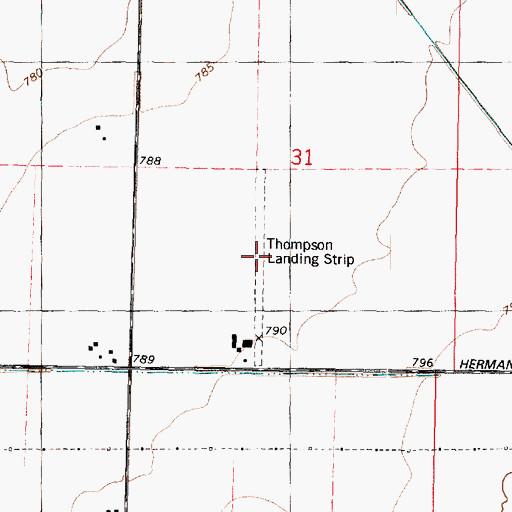 Topographic Map of Thompson Landing Strip (historical), IL