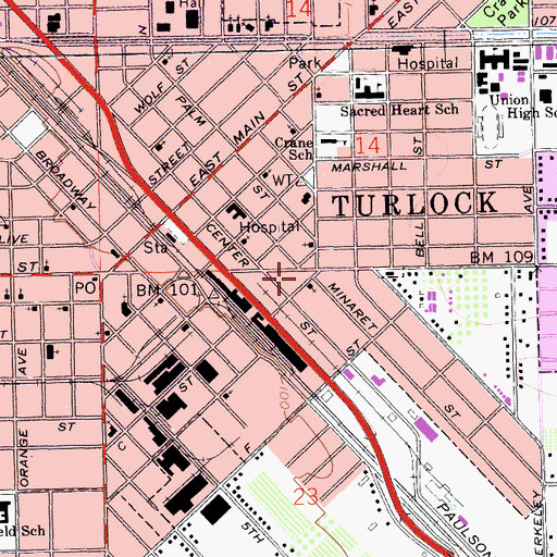 Topographic Map of Turlock Youth Center, CA