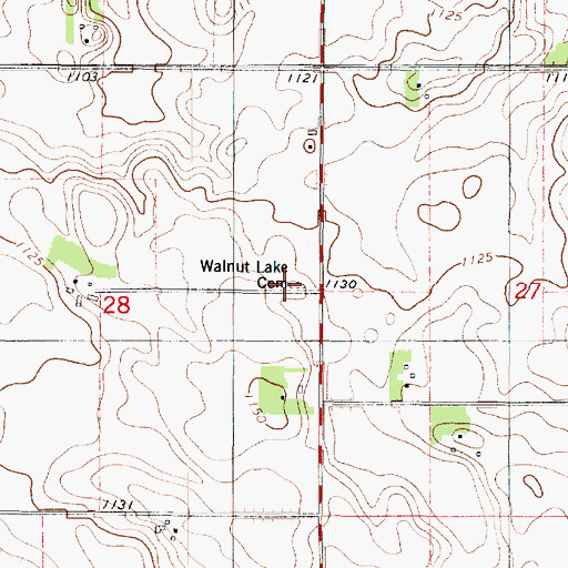 Topographic Map of Walnut Lake Cemetery, MN
