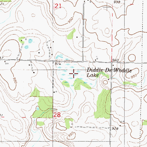 Topographic Map of Diddle De Woddle Lake, MN
