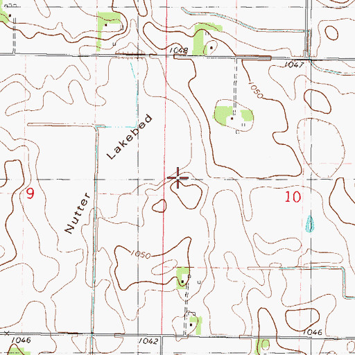Topographic Map of Nutter Lakebed, MN