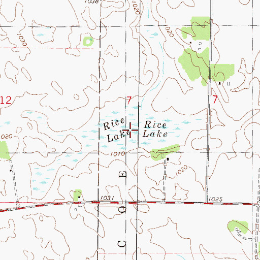 Topographic Map of Rice Lake, MN