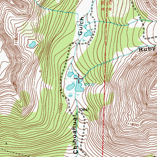 Topographic Map of Ruby Gulch, CO