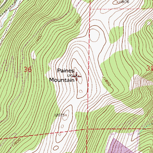 Topographic Map of Paines Mountain, CO