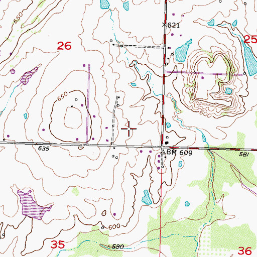 Topographic Map of Barnes Elementary School, OK