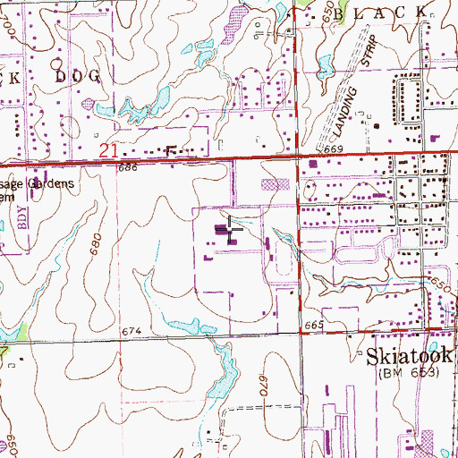 Topographic Map of Skiatook High School, OK