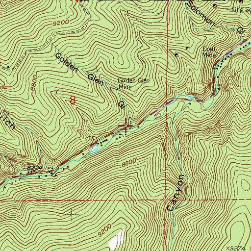 Topographic Map of Golden Glen Gulch, CO