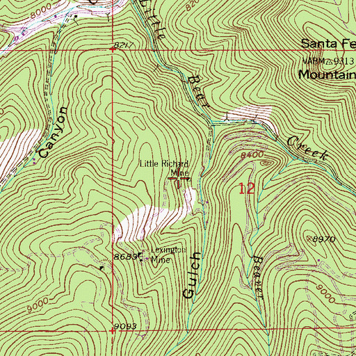 Topographic Map of Little Richard Mine, CO