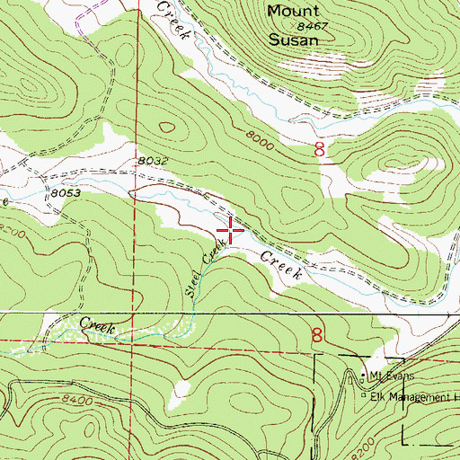 Topographic Map of Steel Creek, CO