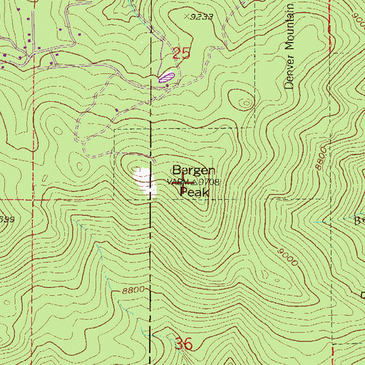 Topographic Map of Bergen Peak, CO
