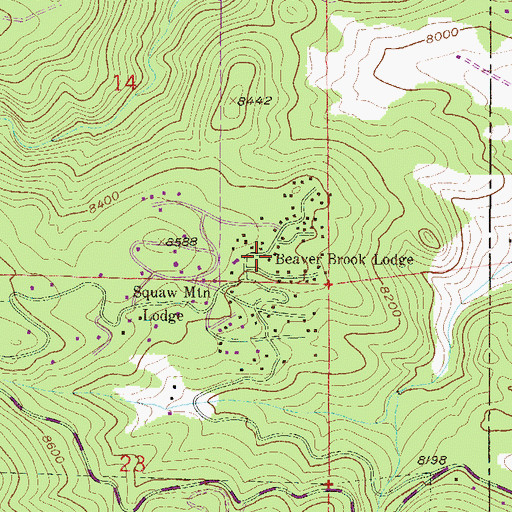 Topographic Map of Beaver Brook Lodge, CO