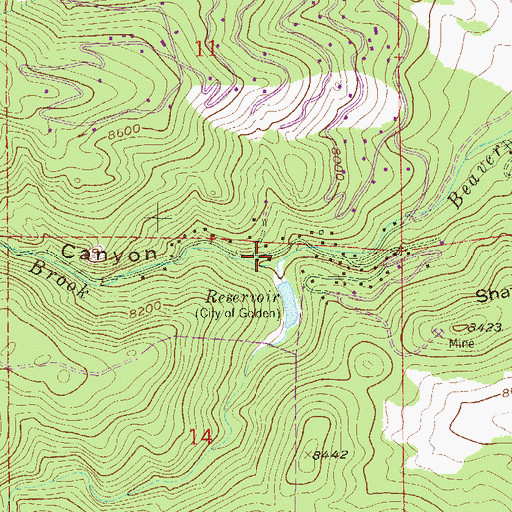 Topographic Map of North Beaver Brook, CO